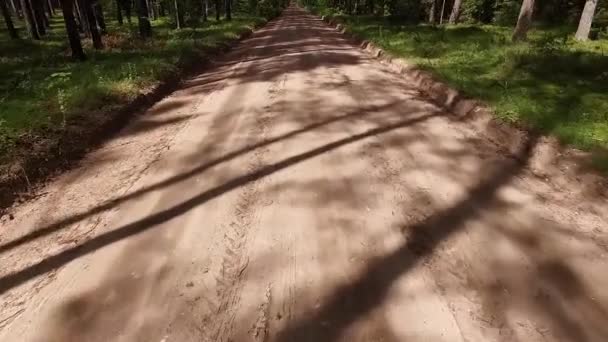 Voo Sobre Estrada Cascalho Floresta — Vídeo de Stock