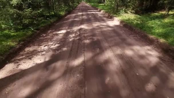 Voo Sobre Estrada Cascalho Floresta Para Trás — Vídeo de Stock