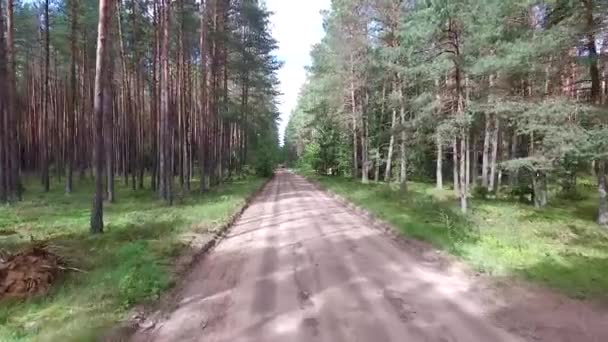 Vuelo Sobre Carretera Grava Bosque — Vídeos de Stock