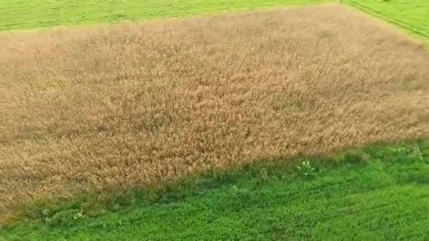 vidéo du vol au-dessus du pré 