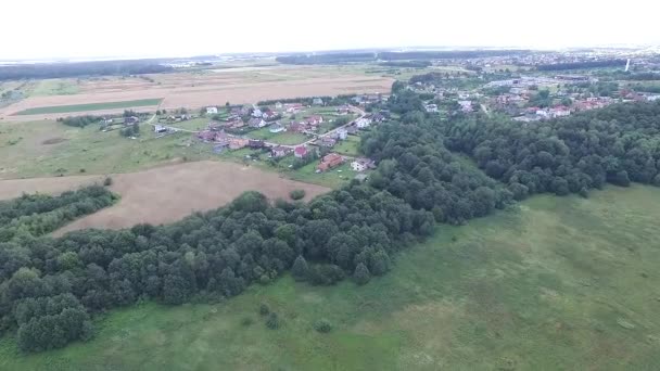 Flug Über Wiese Waldnähe Und Kleinstadt Der Ferne — Stockvideo