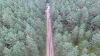 Çakıl yol ve otoyol yakınında orman üzerinde uçuş