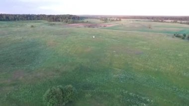 küçük evin etrafında çayır üzerinde uçuş