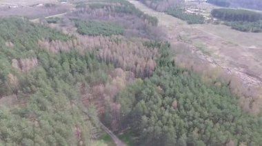 Ağaçlar üzerinde uçuş