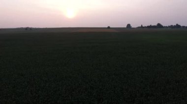 Mısır alanın üzerinde uçan