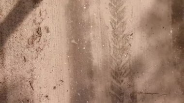 Ormandaki çakıl yol