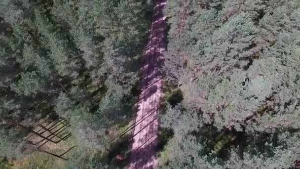 Політ Над Лісом Гравійною Дорогою — стокове відео