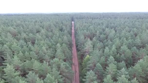 Політ Над Лісом Біля Гравійної Дороги — стокове відео