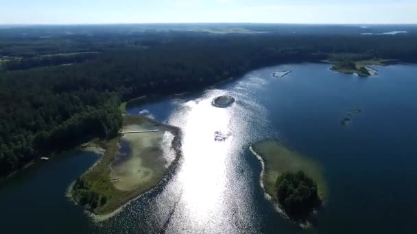 Voo Sobre Lago Perto Floresta — Vídeo de Stock