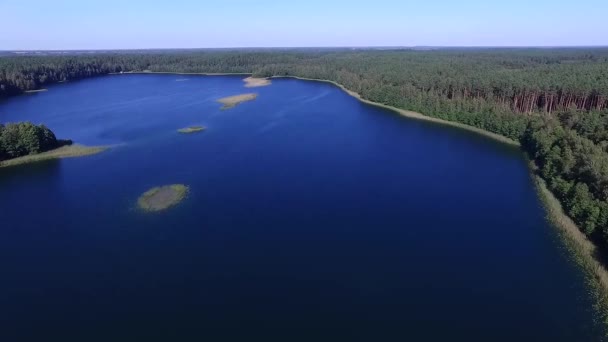 Voo Sobre Lago Perto Floresta — Vídeo de Stock