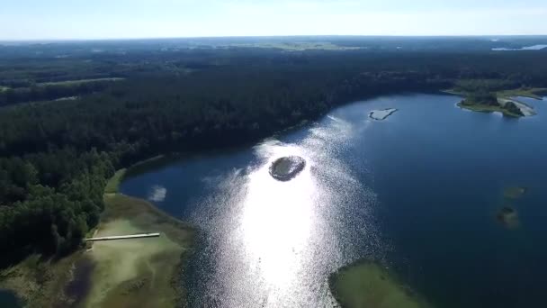 Voo Sobre Lago Perto Floresta — Vídeo de Stock