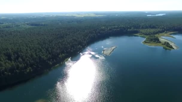 Voo Sobre Lago Perto Floresta — Vídeo de Stock