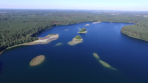 Flug Über Den See Waldnähe — Stockvideo