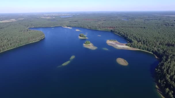 Flyg Över Sjön Nära Skogen — Stockvideo