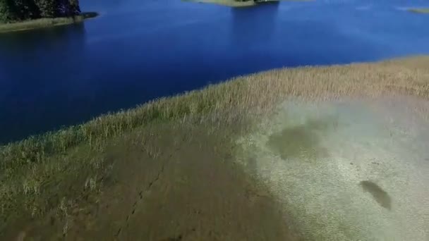 Vuelo Sobre Lago Cerca Del Bosque — Vídeo de stock