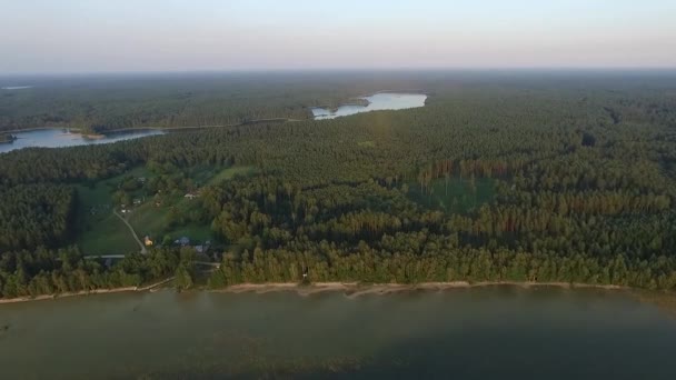 Πτήση Πάνω Από Λίμνη Κοντά Στο Δάσος — Αρχείο Βίντεο