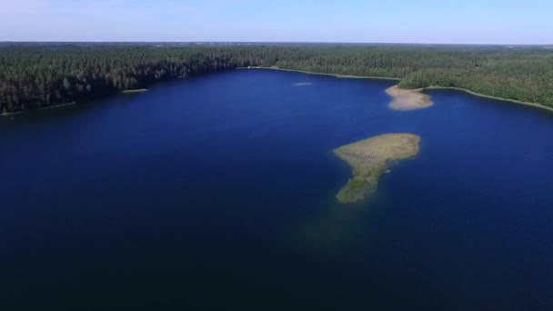 Lot Nad Jeziorem Pobliżu Lasu — Wideo stockowe