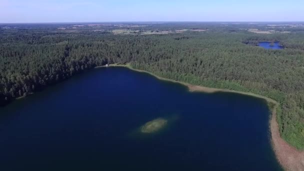 Flyg Över Sjön Nära Skogen — Stockvideo