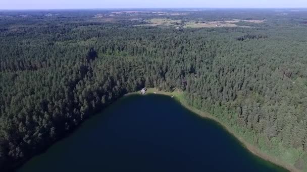 Πτήση Πάνω Από Λίμνη Κοντά Στο Δάσος — Αρχείο Βίντεο