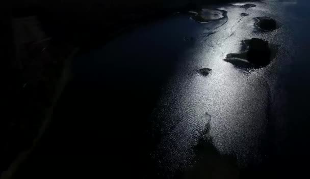 在晚上的湖面上飞行森林附近 — 图库视频影像