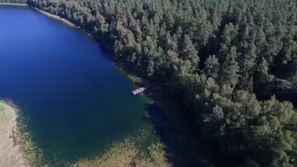 Voo Sobre Lago Perto Floresta — Vídeo de Stock