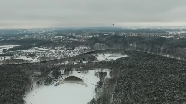 Flug Über Vingis Park Vilnius — Stockvideo