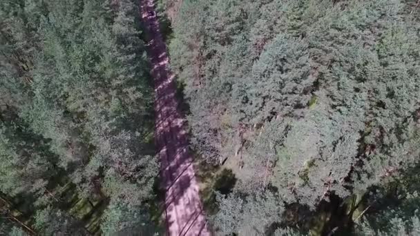 Landung Über Wald Und Schotterweg — Stockvideo