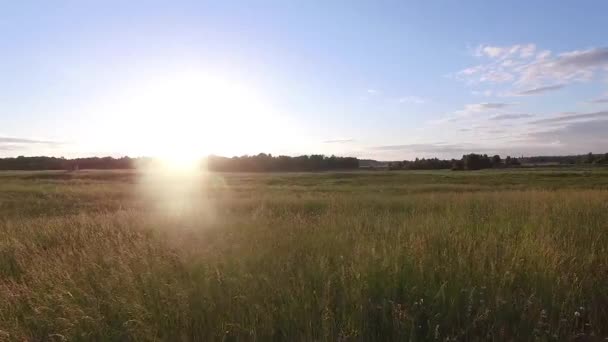 Matala Lento Niityn Yli Taaksepäin — kuvapankkivideo