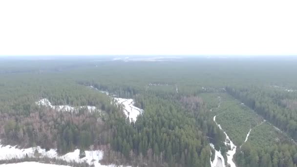 Panorama Bitti Orman Yakınındaki Ülke Döndürme — Stok video
