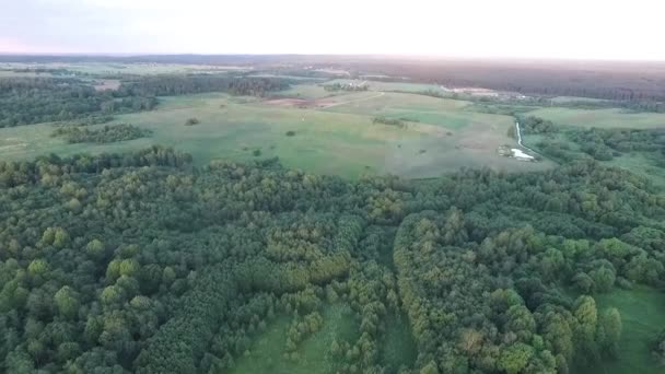 Video Van Panorama Landschap — Stockvideo