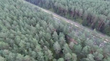 Panorama Forest yakınındaki karayolu üzerinde