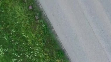 Asfalt yol ve çayır rising