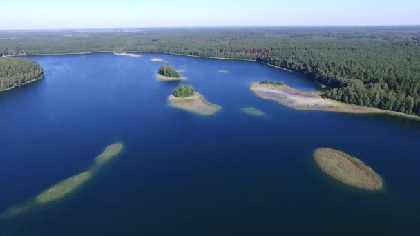 Πανοραμική Θέα Πάνω Από Λίμνη Κοντά Στο Δάσος — Αρχείο Βίντεο