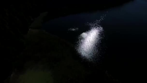 Panorama Sobre Lago Cerca Del Bosque Por Noche Vídeos De Stock Sin Royalties Gratis