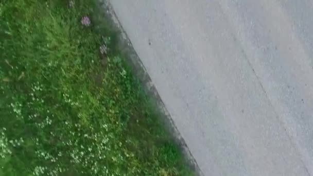 アスファルトの道路と草原の上の上の上昇 — ストック動画