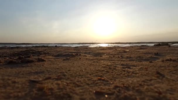 Strand Közelében Emelkedő — Stock videók