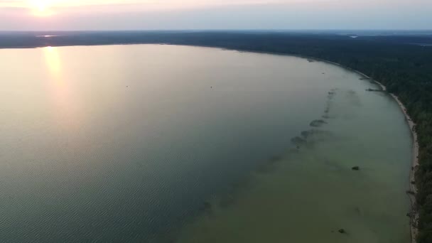 Pomalé Přistání Jezero Nedaleko Lesa — Stock video