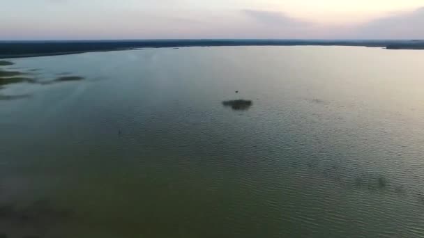 Atterrissage Lent Sur Lac Près Forêt — Video