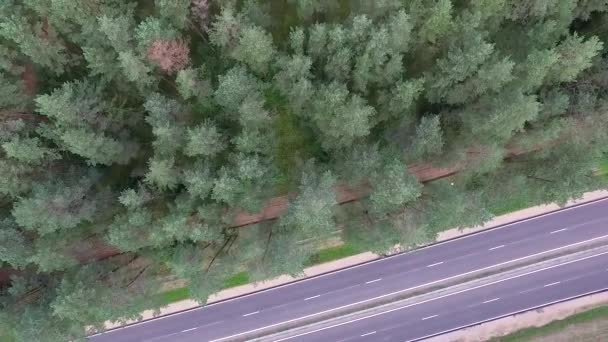 Senkrechtflug Über Wald Und Autobahn — Stockvideo