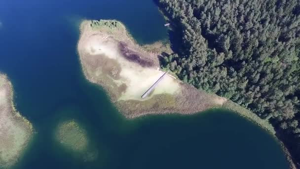 Vista Vertical Sobre Lago Com Pequena Ponte Perto Floresta — Vídeo de Stock