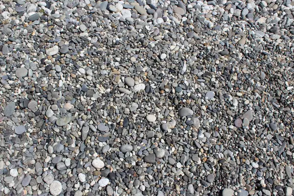 海星贝壳砂背景 — 图库照片