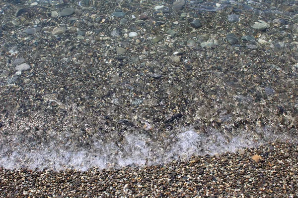 Deniz yıldızı kabuk kum zemin üzerine