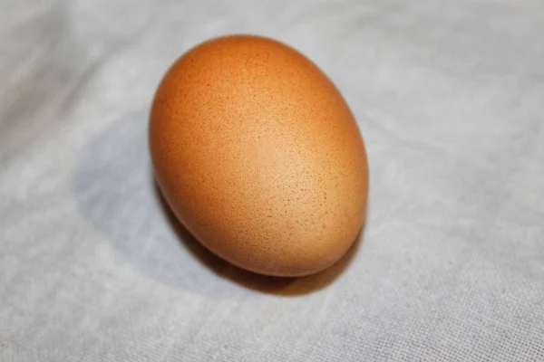 kahverengi Paskalya yortusu yumurta tavuk yumurtası beyaz arka plan üzerinde