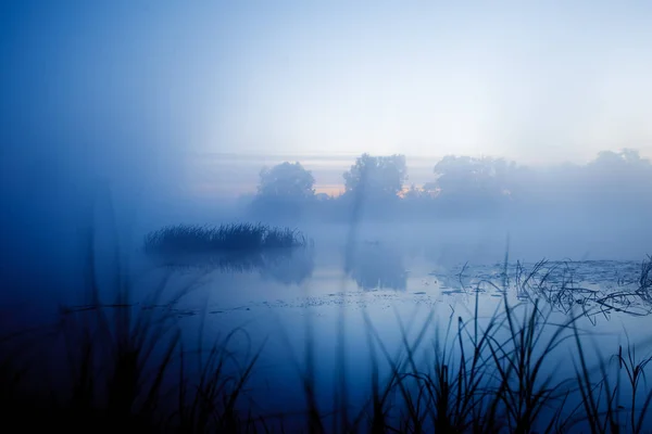 Lac Brumeux Matin — Photo