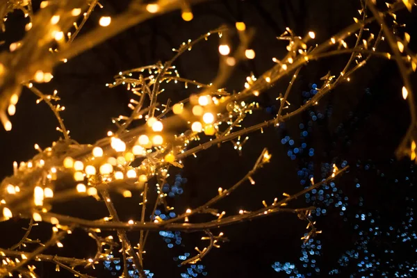 Geceleyin çok renkli ışıklarla Noel ağacının ışıkları — Stok fotoğraf
