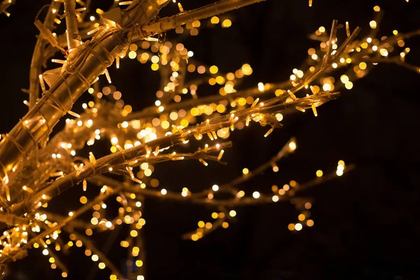 Luzes na Árvore de Natal com Luzes Multi Coloridas à noite — Fotografia de Stock