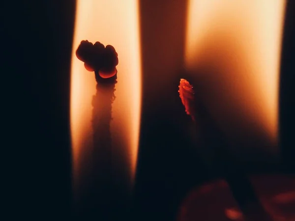 Bulanık, siyah bir zeminde parlak bir şekilde yanan, kızgın bir mum. Makro