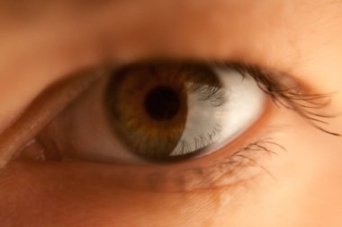 İnsan kahverengi gözlü makro ileriye bakıyor.