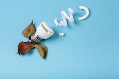 Kırık floresan spiral lamba enerji tasarrufu lambası mavi arka planda ölü incir yapraklarıyla çevrili. Ekoloji kirliliği kavramı.