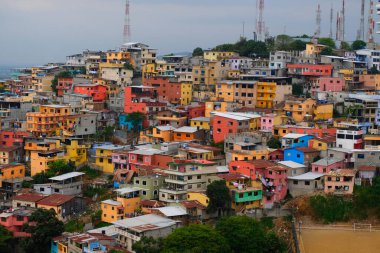 Renkli evler, Guayaquil, Ekvador 'daki Santa Ana tepesinde gecekondu mahallesi..